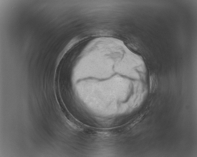 X0000052940195200507300027