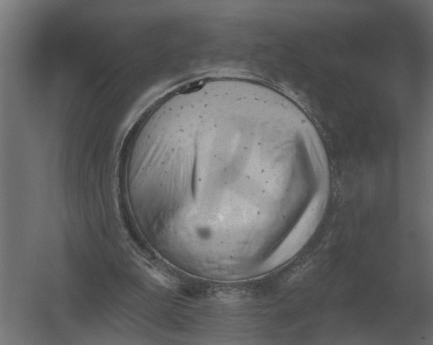 X0000052940199200507300027