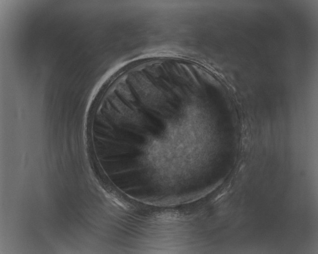 X0000052940200200507300027