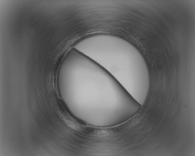 X0000052940205200507300027