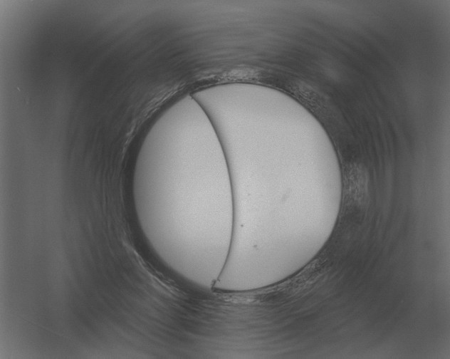 X0000052940206200507300027