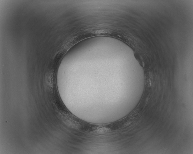 X0000052940210200507300027