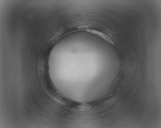 X0000052940215200507300027