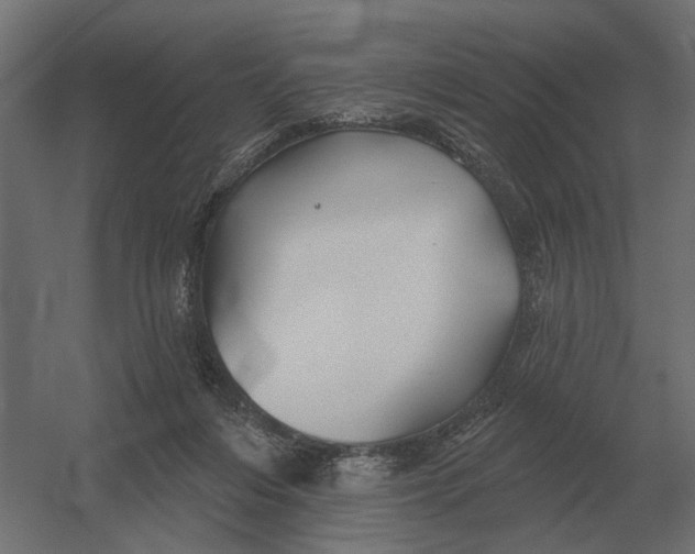 X0000052940216200507300027