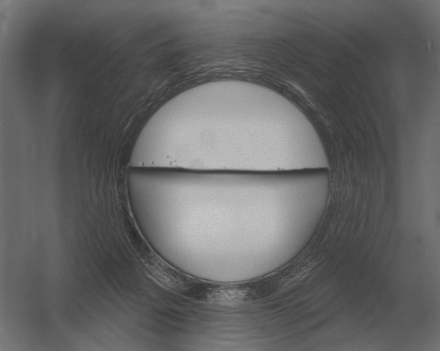 X0000052940217200507300027