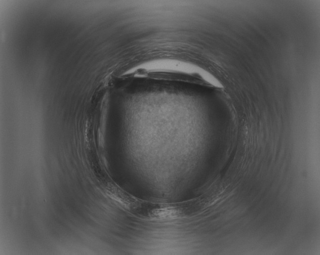 X0000052940219200507300027