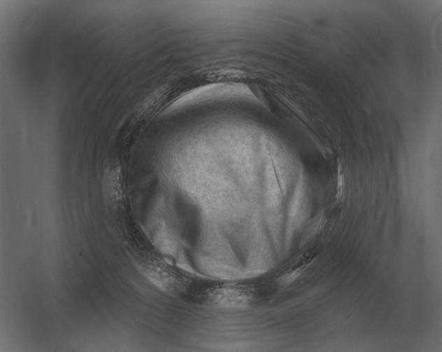 X0000052940224200507300027