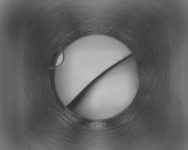 X0000052940225200507300027