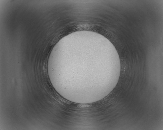 X0000052940226200507300027