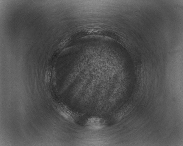 X0000052940227200507300027