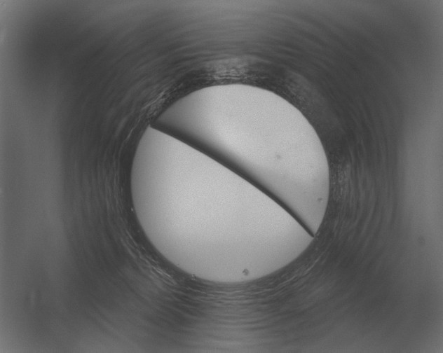 X0000052940228200507300027