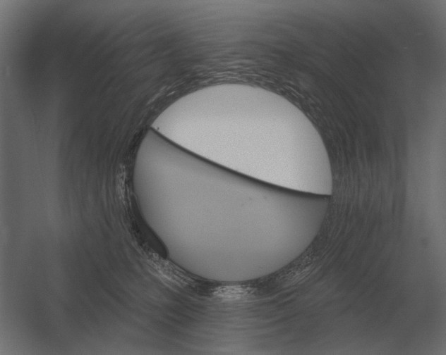 X0000052940231200507300026