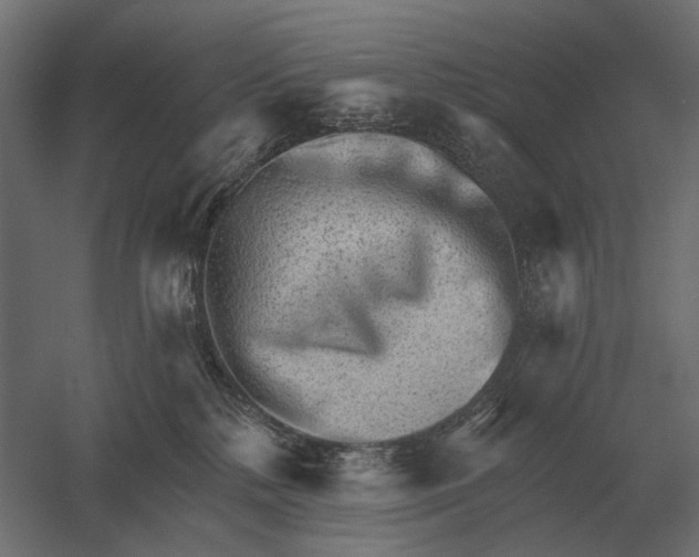 X0000052940232200507300026