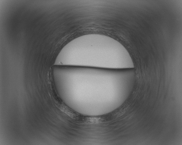 X0000052940233200507300026