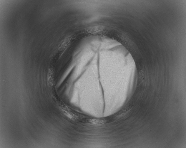 X0000052940234200507300026