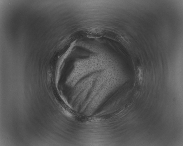 X0000052940235200507300026