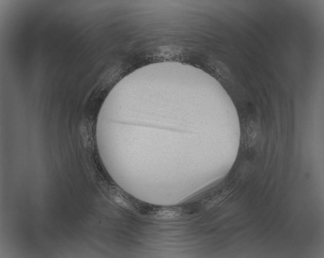 X0000052940236200507300026