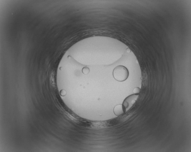 X0000052940238200507300026