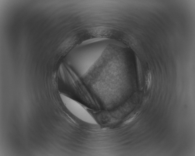 X0000052940239200507300026