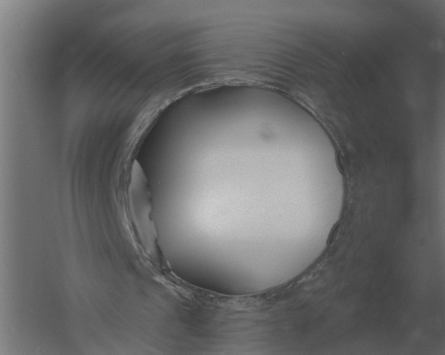 X0000052940241200507300025