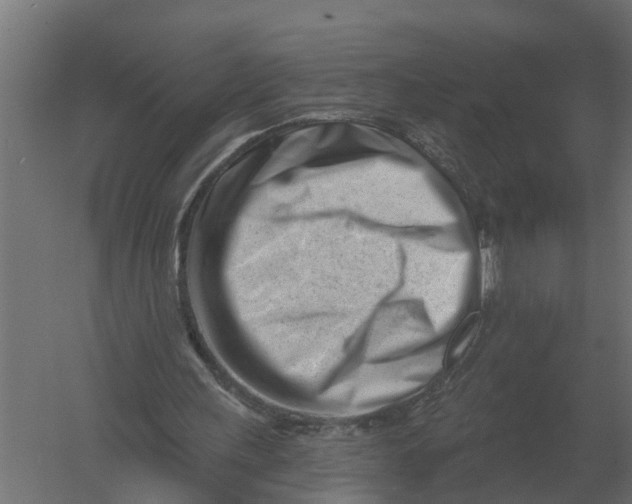 X0000052940243200507300026