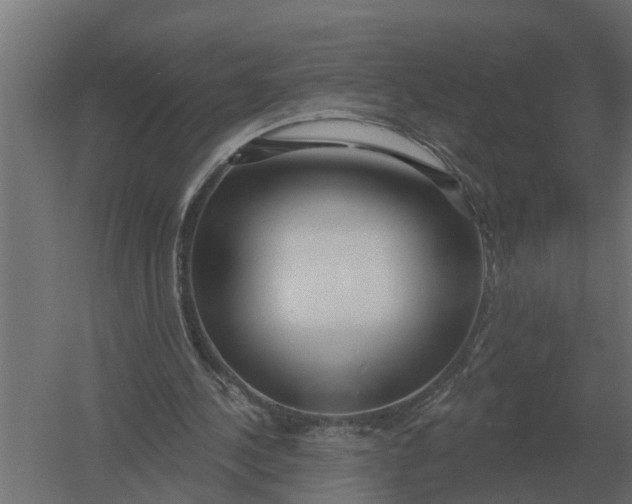 X0000052940244200507300026