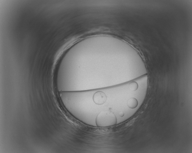 X0000052940245200507300026