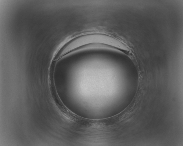 X0000052940248200507300026