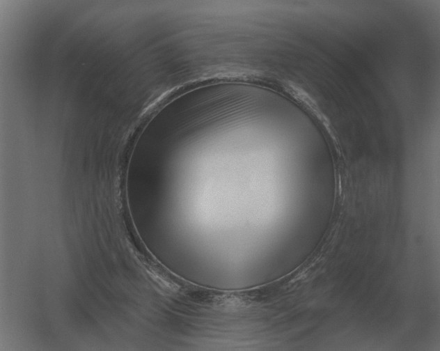 X0000052940249200507300026