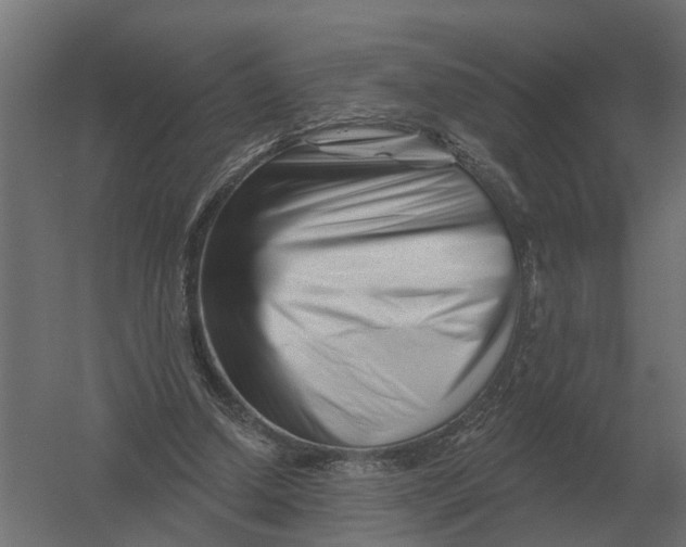 X0000052940250200507300026