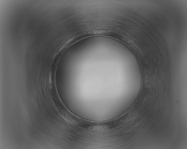 X0000052940251200507300026