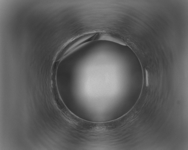 X0000052940252200507300026