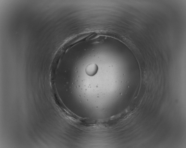 X0000052940256200507300026