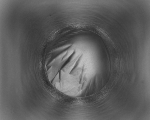 X0000052940259200507300026