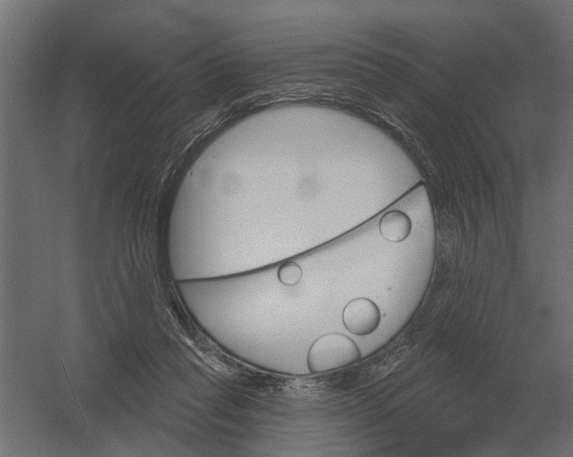 X0000052940261200507300026