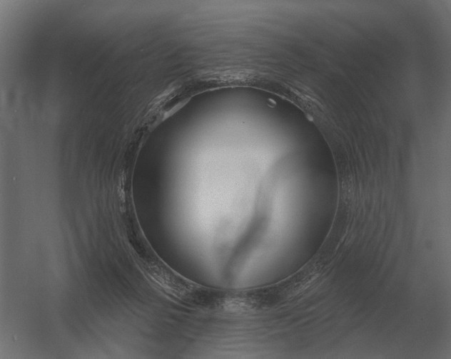 X0000052940264200507300026