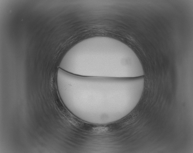 X0000052940266200507300026