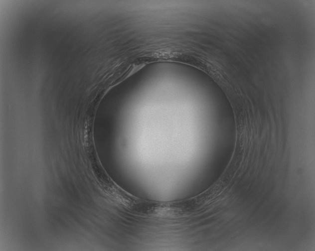 X0000052940268200507300026