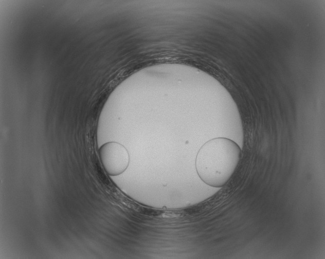 X0000052940270200507300026