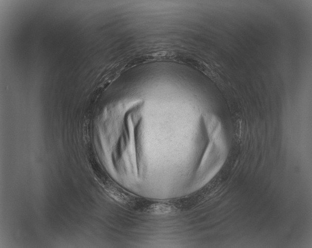 X0000052940272200507300026