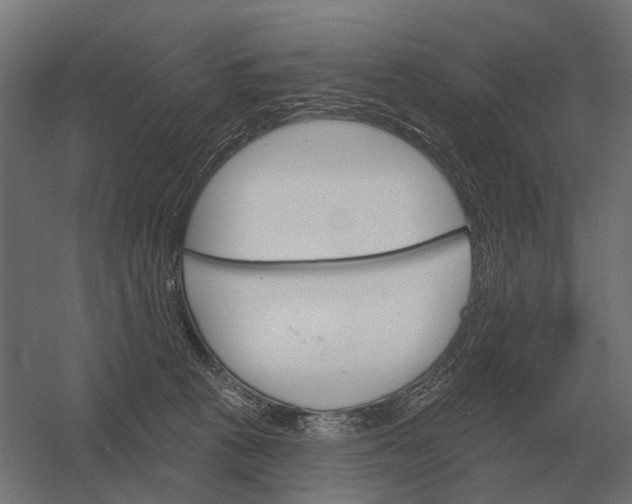 X0000052940273200507300026