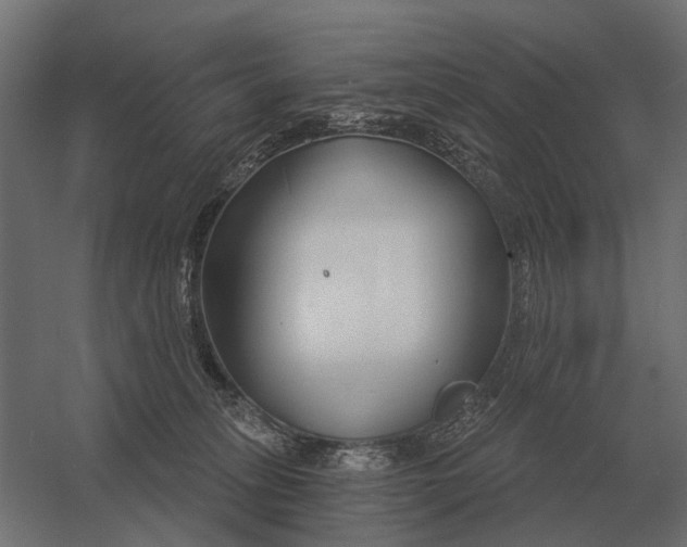 X0000052940275200507300026