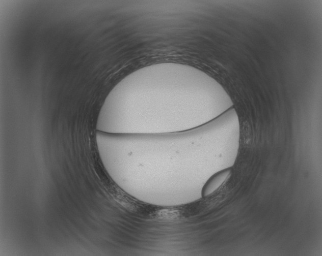 X0000052940279200507300026