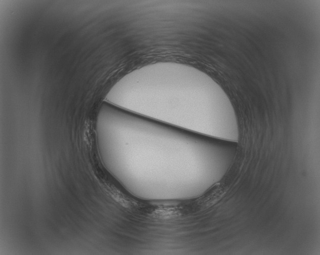 X0000052940280200507300026