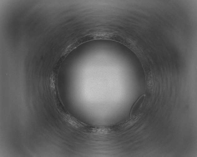 X0000052940282200507300026