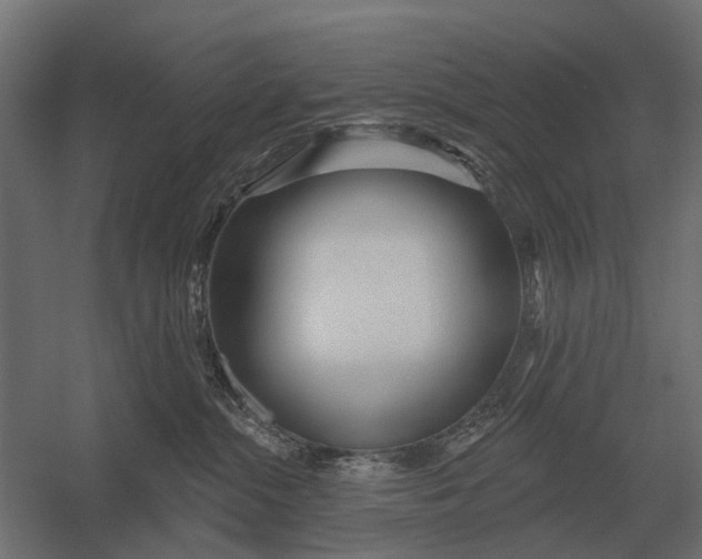 X0000052940284200507300026