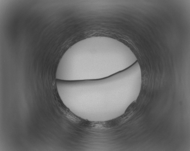 X0000052940285200507300026