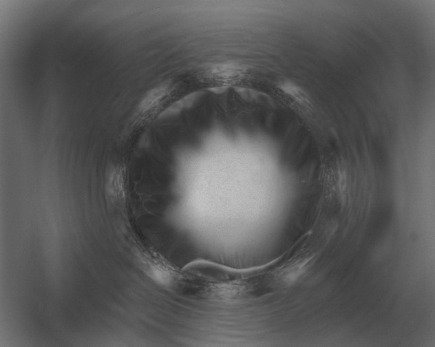 X0000052940286200507300026