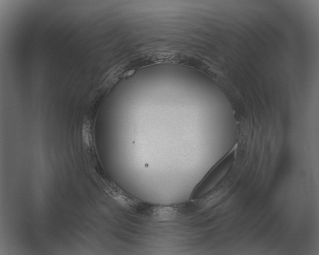 X0000052940287200507300026