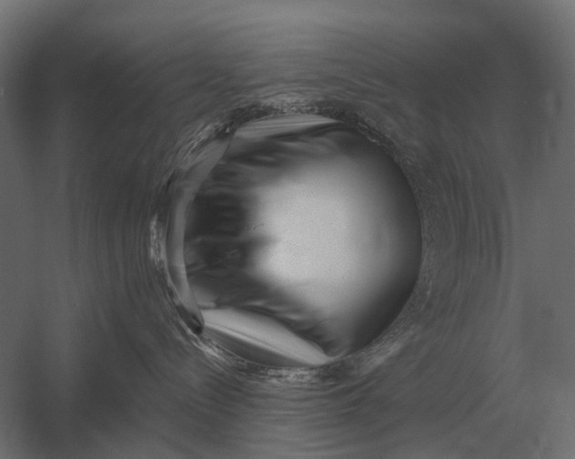 X0000052940288200507300026